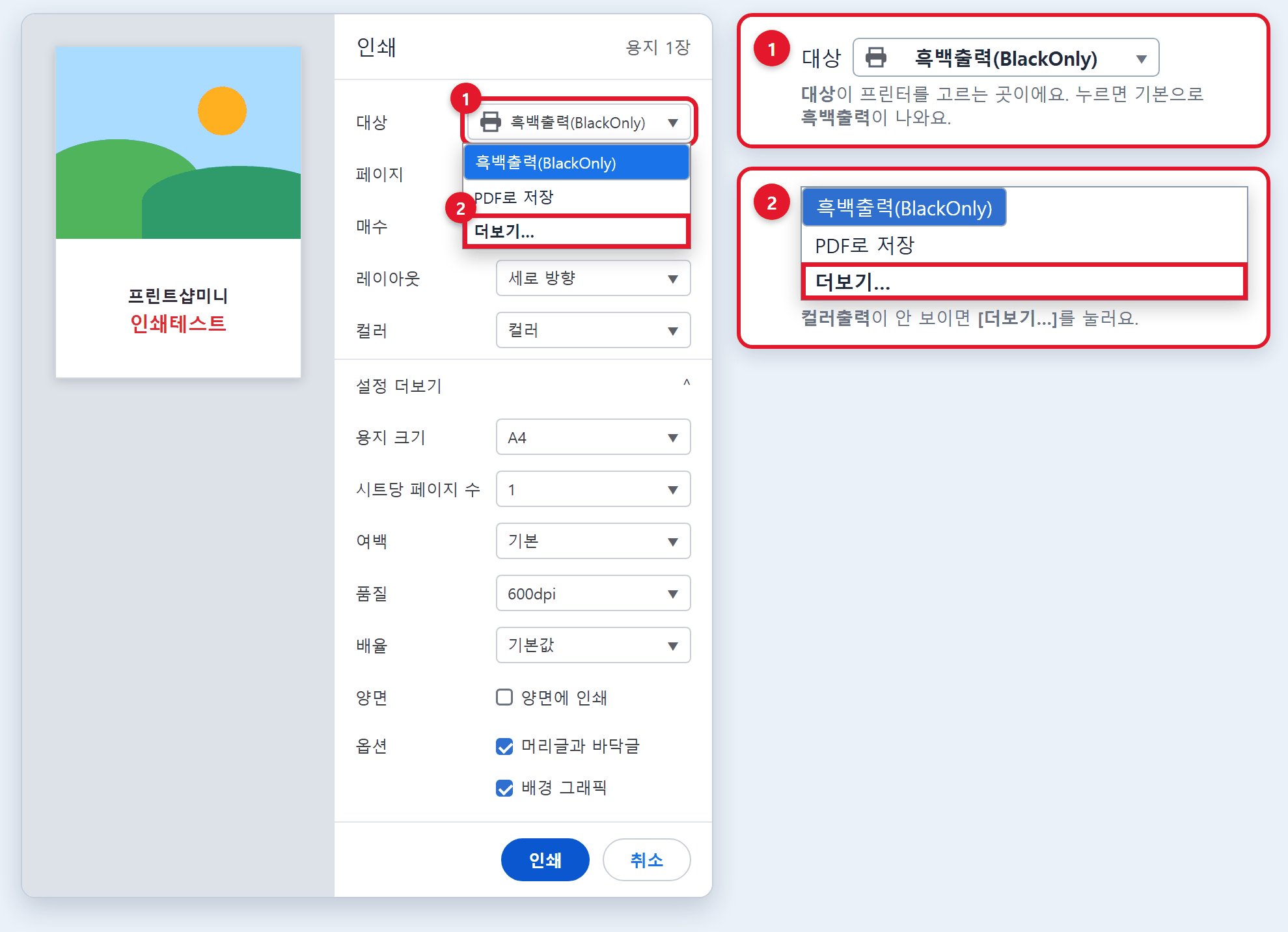 크롬 인쇄 화면 그림. 대상을 누르면 기본으로 흑백출력이 나오고 아래에 더보기가 있는 모습을 돋보기처럼 확대해서 보여 주는 모습